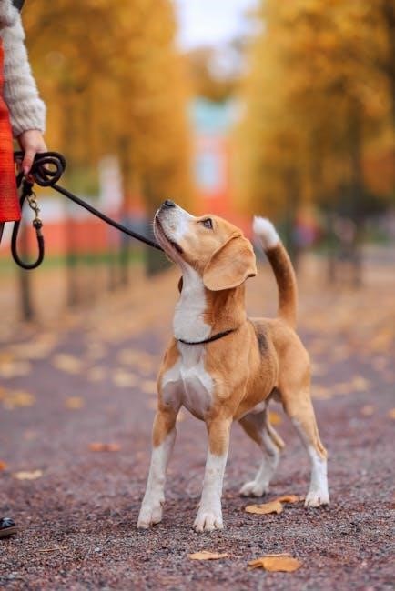 puppy training guide pdf