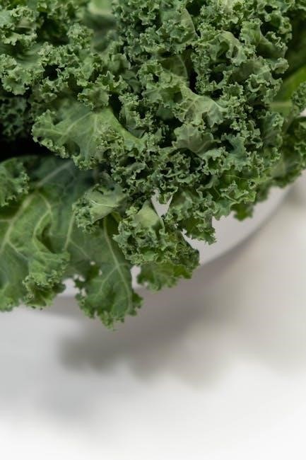 low-carb vegetarian diet plan pdf